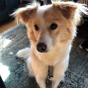 Meet your Posher, Jane